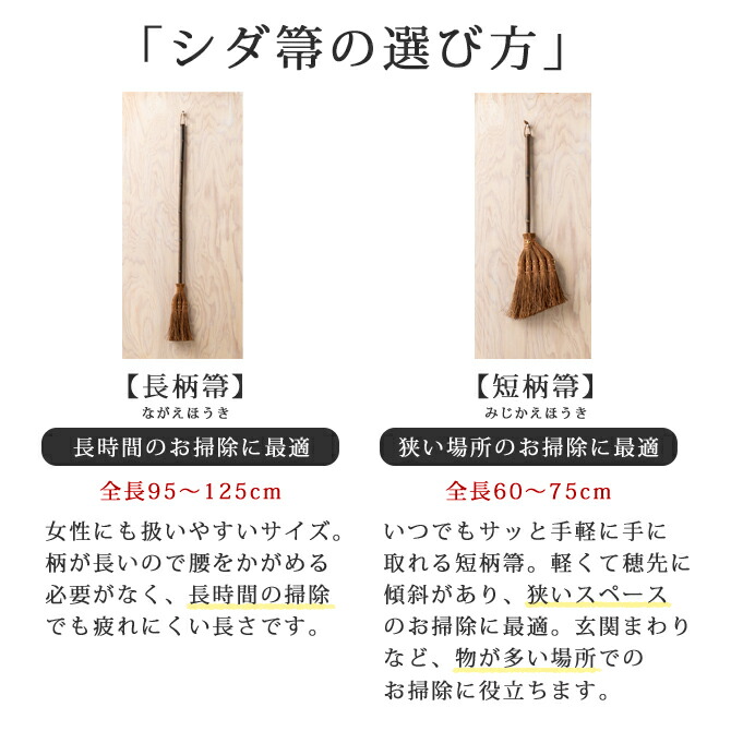 手数料安い 新品、未使用 【最大800円OFF】～1/16月01：59まで国産シダ