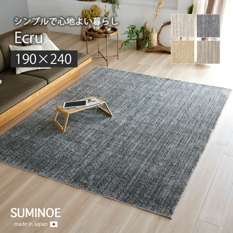 引っ敷き 引っ敷き 床材 引っ敷き エクリュ22AW 190×240 エクリュ 22AW 190 240 矩形 防壁蝨目 床暖相応う ウォッシャブル 日本製 suminoe スミノエ