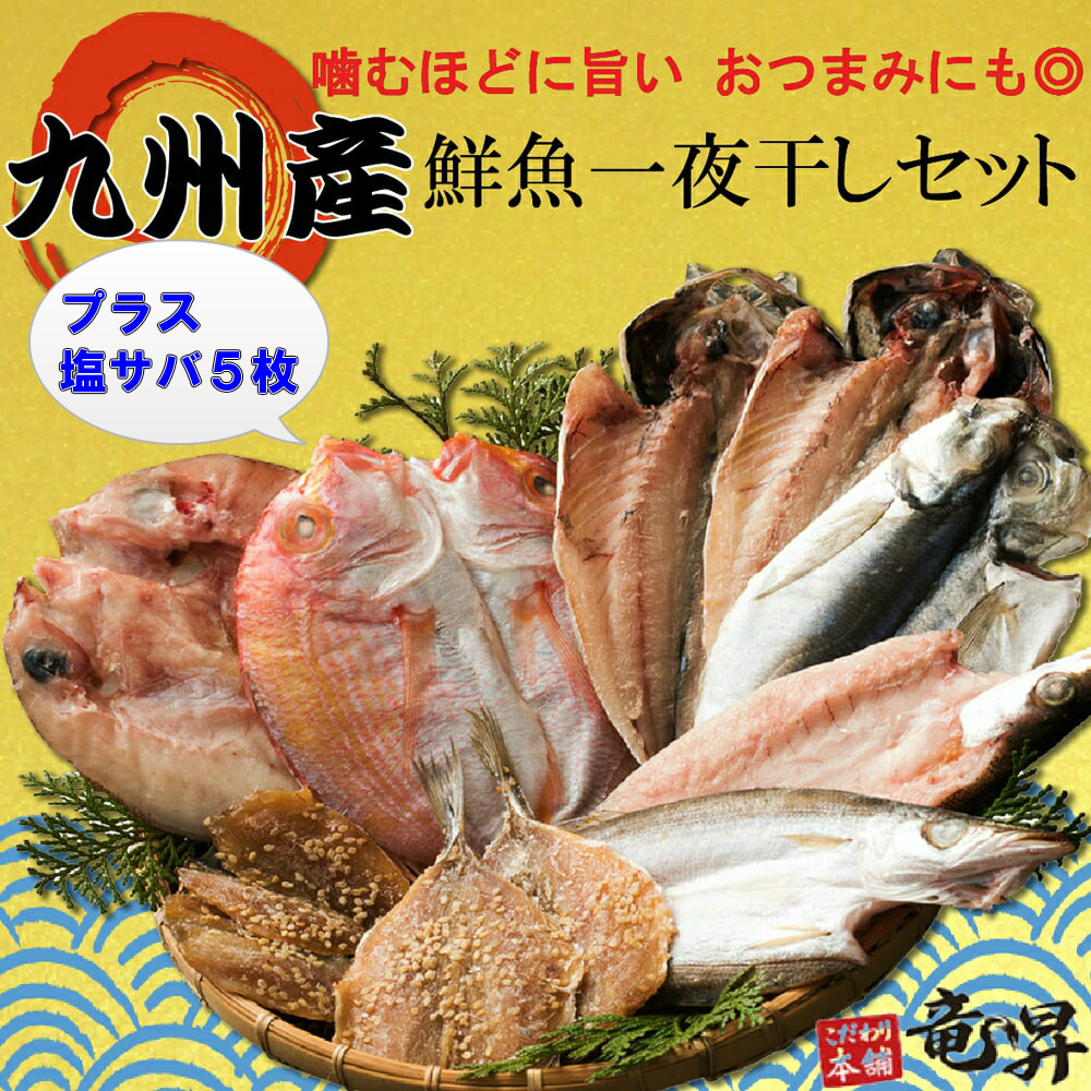 代引き手数料無料 現在 ポイントバック 更にクーポン発行中 塩サバ 九州産鮮魚一夜干しセット 6種16食分 あじ 蓮子鯛 あじみりん干し 真鯛 かます 冷凍 ギフト 御祝 内祝 誕生日 贈り物 プレゼント 干物 干物セット 魚 海鮮 朝食 発送a オマケふぐ茶漬け