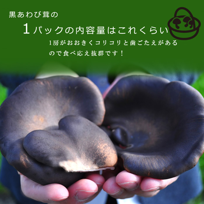 豪華で新しい 黒あわび茸 きのこ 生 とれたて 高級 滋賀県産 5パックスペシャルきのこマイスター 希少 きのこ炒め物 揚げ物 煮物 産地直送 Qdtek Vn