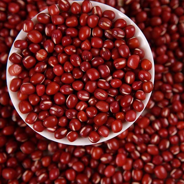 楽天市場】【10%OFF】小豆 1kg / 1000g Azuki Beans : 神戸スパイス