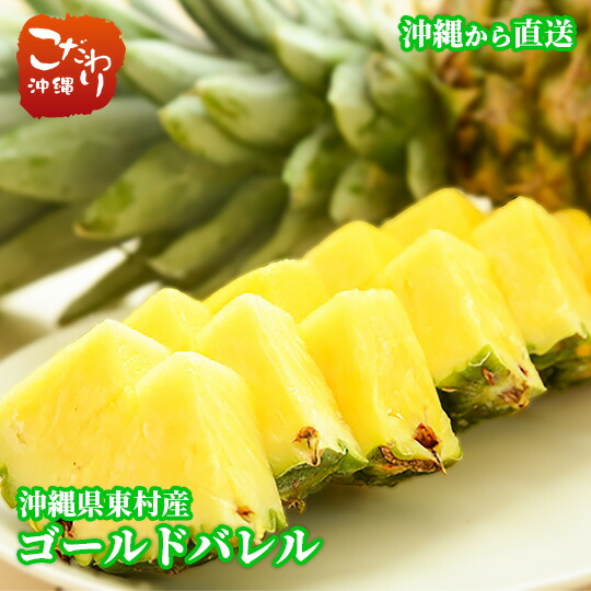 【送料無料】<br><br>沖縄県東村産ゴールドバレル　ふくしま農園<br><br>【沖縄県産　やんばる産　 パイン　パイナップル】【指定日不可】<br><br>※７月１０日前後頃から発送開始予定