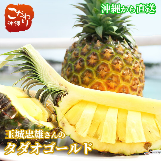 【送料無料】玉城忠男さんのタダオゴールド（ゴールドバレル）<br><br><br>【沖縄県産　東村産　パイナップル　パイン】<br><br>６月10日前後より発送開始予定！<br><br>【指定日不可】
