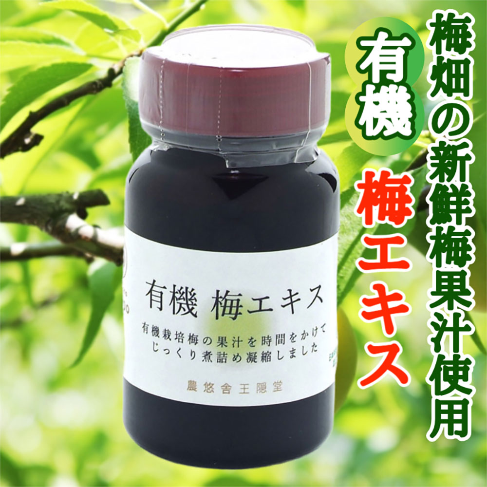 楽天市場】健康フーズ 梅肉エキス 90g 紀州梅100%使用 無添加 国産