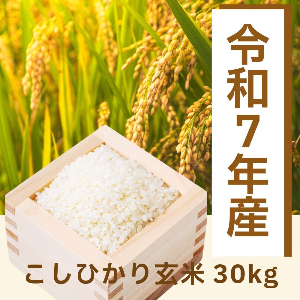 【クーポン有 お買い物マラソン4日20:00～】令和7年【玄米 30kg】新潟県佐渡産 こしひかり 令和7年度 玄米 30キロ お米 コメ