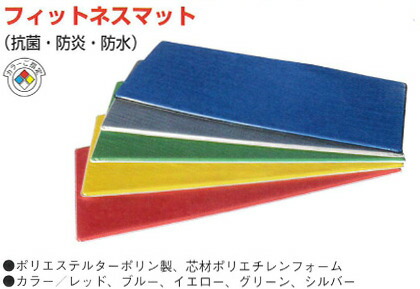 こども良品 ノンスリップフィットネスカラーマット１枚 後押し上滑り打ちきり付 幅58 長さ120 厚2糎 SR35 育みそだてる授業時間設備