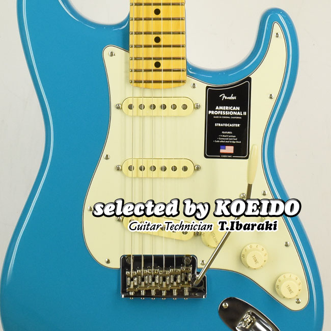 楽天市場】Fender MEXICO Player Stratocaster PF 3TS(Fine tuned by 