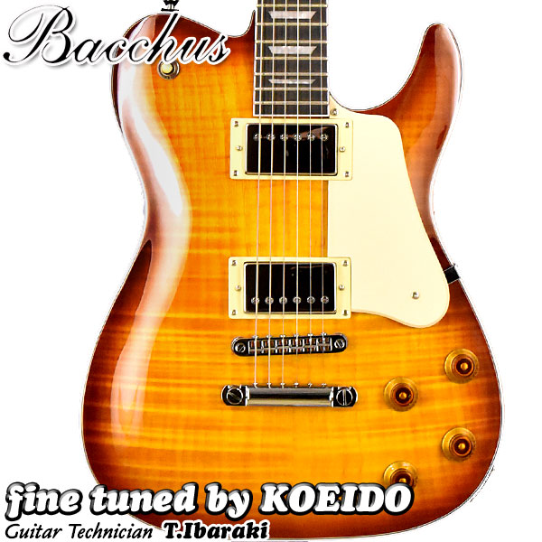 楽天市場】SCHECTER AD-DM-PTM-FR Damien Platinum-6FR SBK【スペア弦