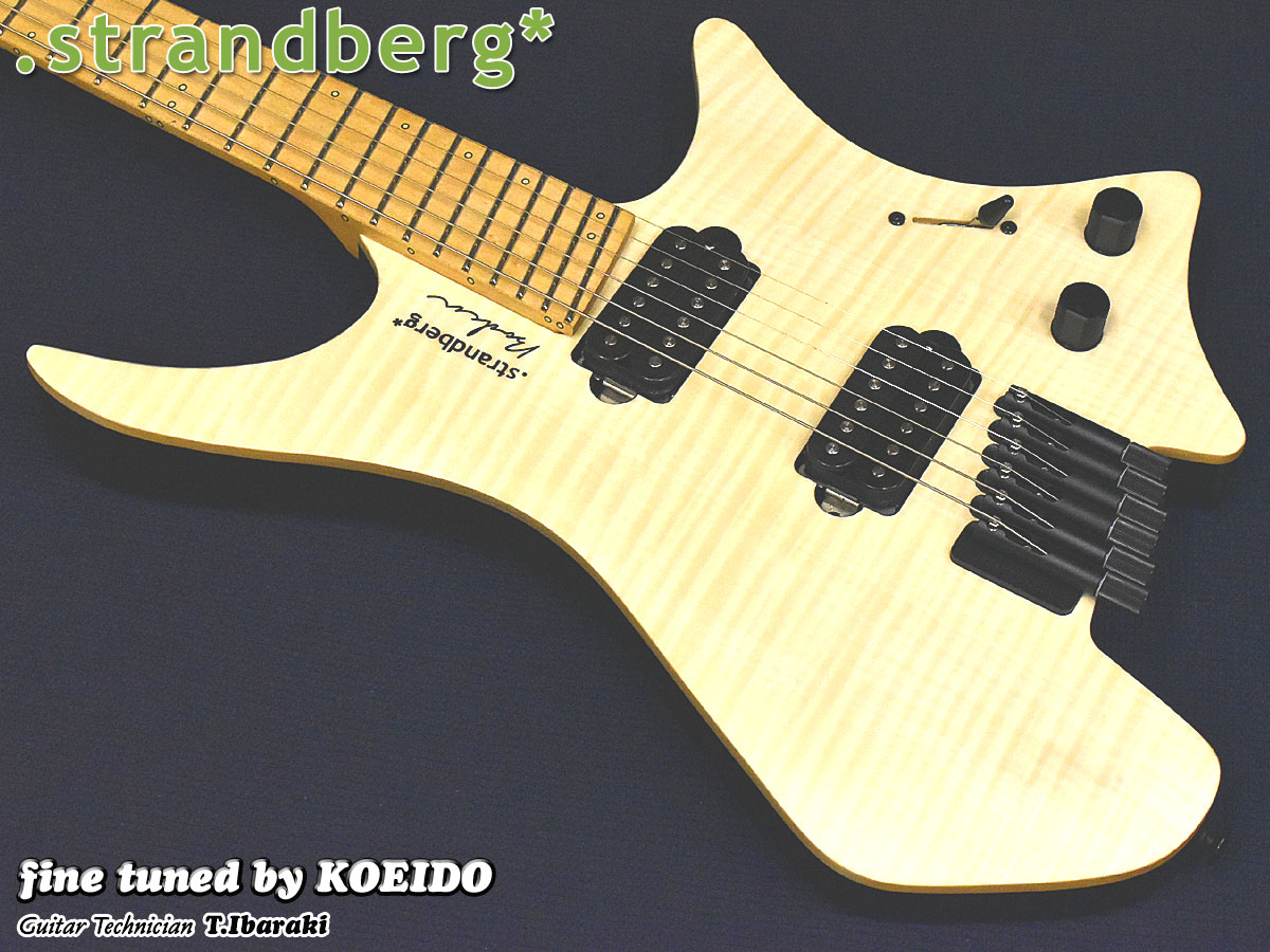 楽天市場】strandberg Boden Essential 6（Black Granite