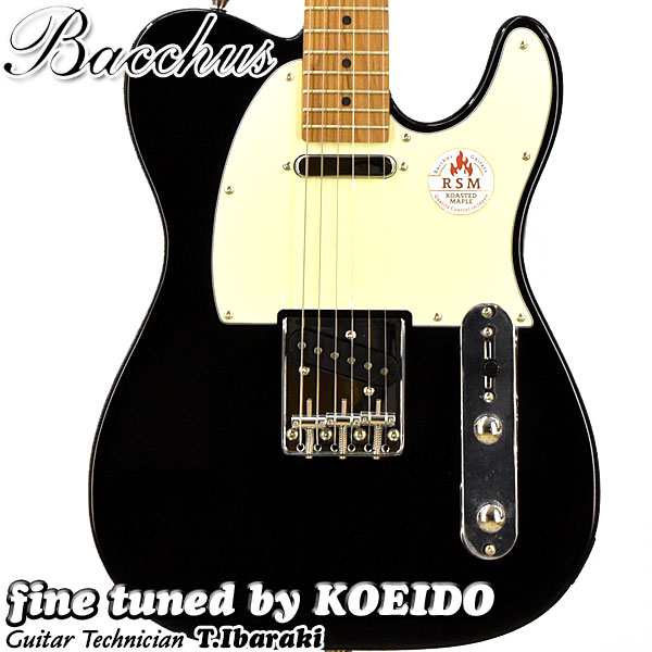 Bacchus BTE-1-R DLPB テレキャスター Amazon | Bacchus BTE-1R DLPB エレキギター ダークレイクプラシッド