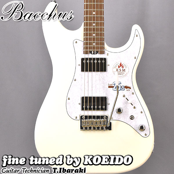 楽天市場】SCHECTER AD-DM-PTM-FR Damien Platinum-6FR SBK【スペア弦