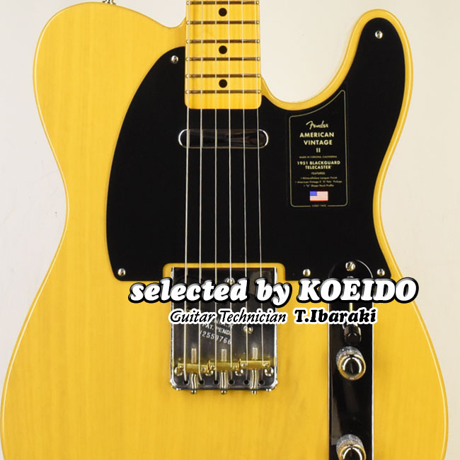 楽天市場】【New】Fender American Professional2 Stratocaster MN