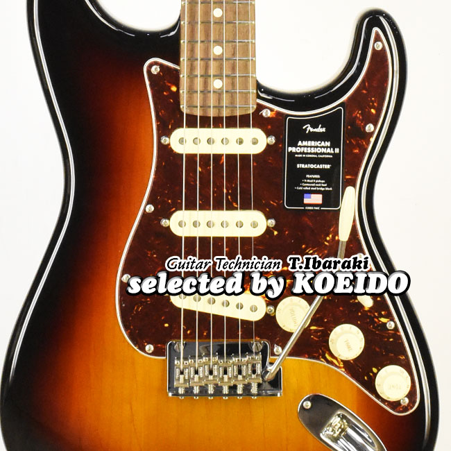 楽天市場】Fender American Professional2 Stratocaster MN