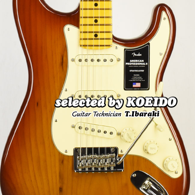 「光栄堂厳選品」　Fender American Professional Ⅱ 楽天市場】【New】Fender American Professional2 Stratocaster