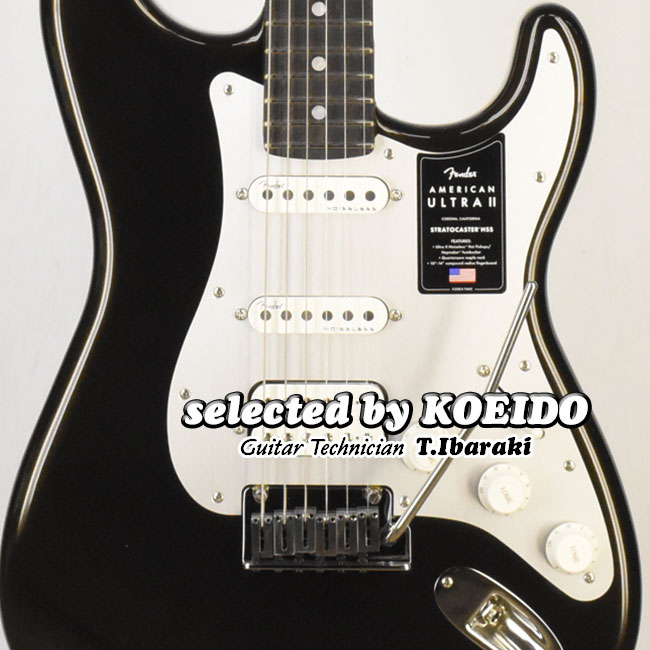 楽天市場】Fender American Professional Classic Stratocaster Faded