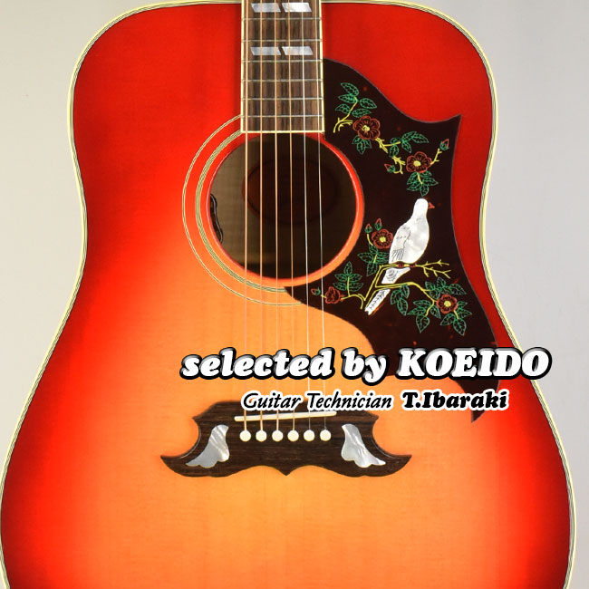 楽天市場】【New】Fender Stories Collection Eric Johnson 1954