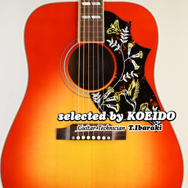 ギター fender Eric Johnson Virginia koeido 楽天市場】【New】Fender Stories Collection Eric Johnson 1954