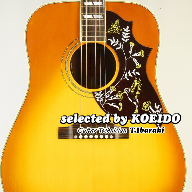 楽天市場】【New】GIBSON J-45 Standard VS(selected by KOEIDO