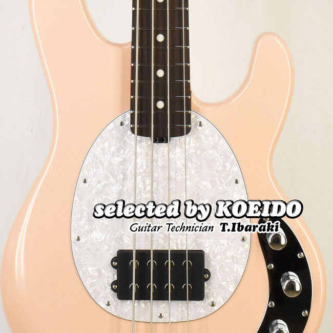 楽天市場】Musicman StingRay 4 Special RW Candyman(selected