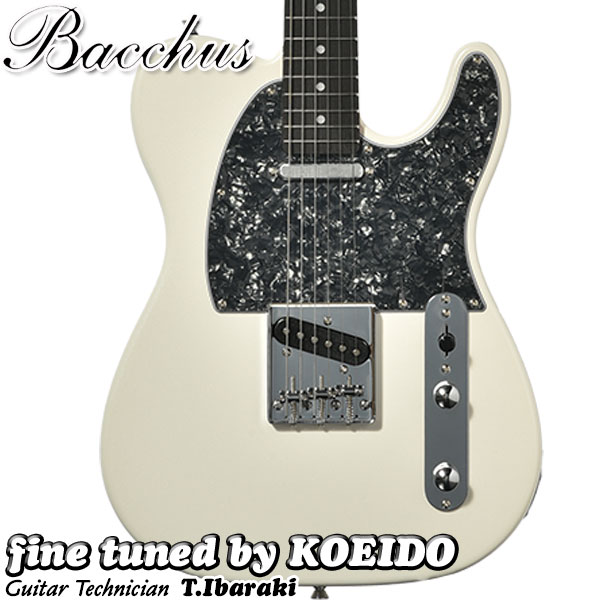 楽天市場】Fernandes TEJ-STD SH SW フェルナンデス エレキギター