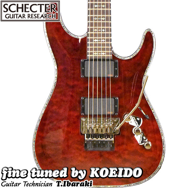 楽天市場】SCHECTER AD-DM-PTM-FR Damien Platinum-6FR SBK