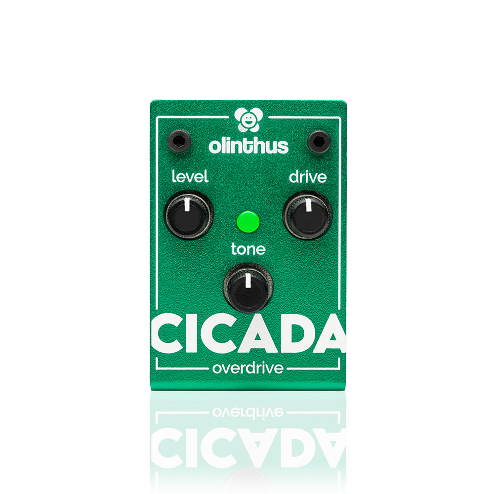 olinthus CICADA（overdrive） 【レターパック発送】【送料無料】オーバードライブ