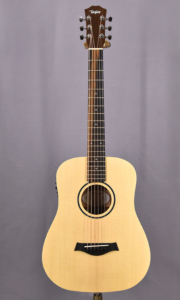 最大5万円OFFクーポン！ Taylor Baby T NAT ベビーテイラー