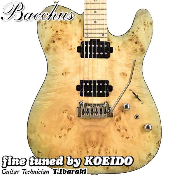 Bacchusエレキギター リペア済 Bacchusエレキギター リペア済 Bacchus