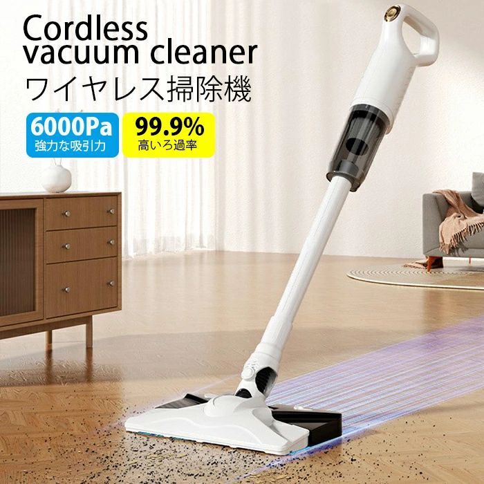 LULU P05 乾湿両用バキューム＆ワッシャー　コードレス掃除機 Ecowell 乾湿両用バキューム&ワッシャー LULU P05 1台（直送品