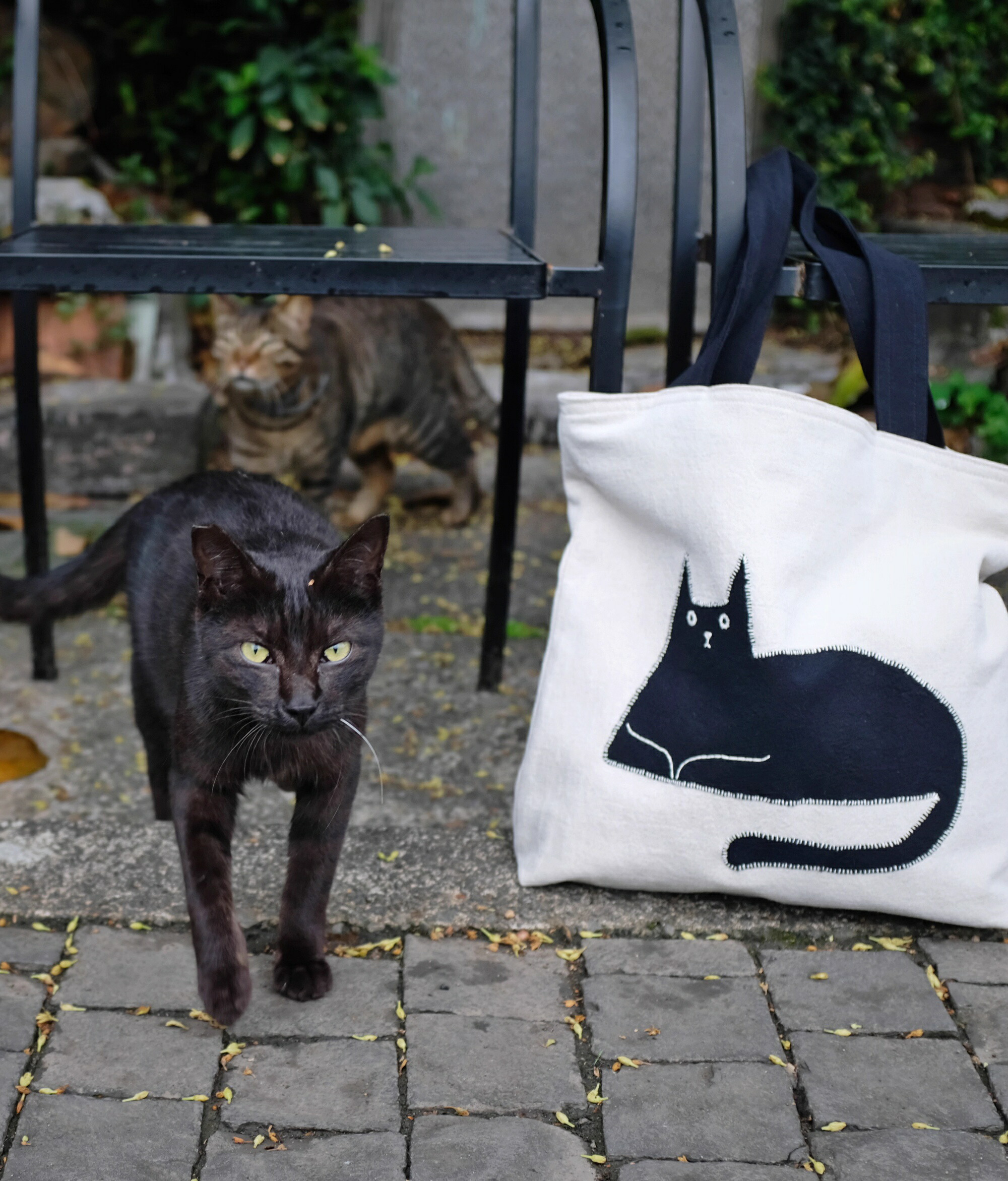 楽天市場】手染め トートバッグ 猫の王様（ブラック） Craft ema