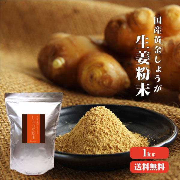 【送料無料】 高知産黄金しょうが限定 しょうが粉末 1kg 【業務用】 高知県産 黄金生姜 生姜粉末 しょうがパウダー ジンジャーパウダー  乾燥ショウガ 無添加 温活 冷え対策 生姜 しょうが ショウガ 国産