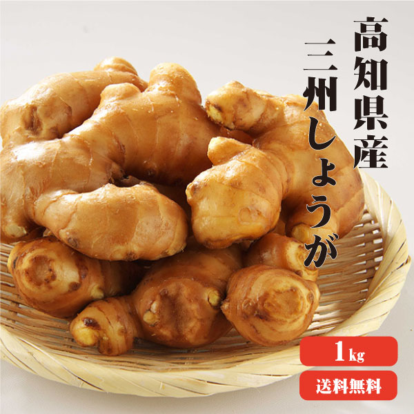 楽天市場】【送料無料】 高知産 三州生姜 4kg 【業務用】 三州生姜 酢