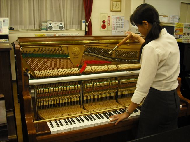 市場 おこのみレンタル F179 Dynamic２ フォイリッヒ