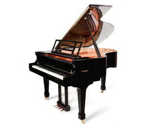 市場 おこのみレンタル F179 Dynamic２ フォイリッヒ