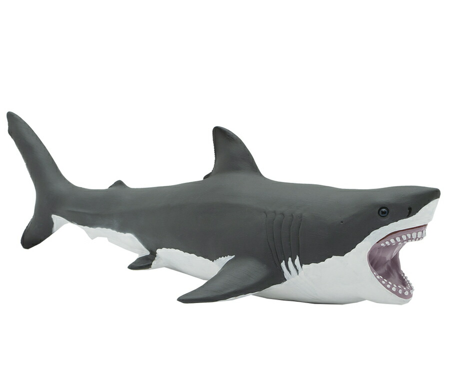 楽天市場 全商品３ ６倍 送料無料 フェバリット ホホジロザメ ビニール プレミアムエディション フィギア サメ 海洋生物 生物 フィギュア ソフビ ギフト インテリア あす楽対応 こぐま こぐま