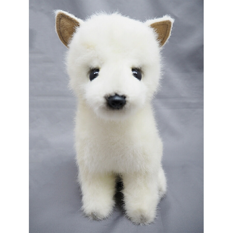 国産 グレイスフル イヌ 紀州犬 座り 立ち I 50 三英貿易 ぬいぐるみ ドッグ いぬ 犬 癒し 動物 ギフト プレゼント 日本製 あす楽対応 こぐま こぐま 日本全国送料無料 Dublinmortgagecompany Ie