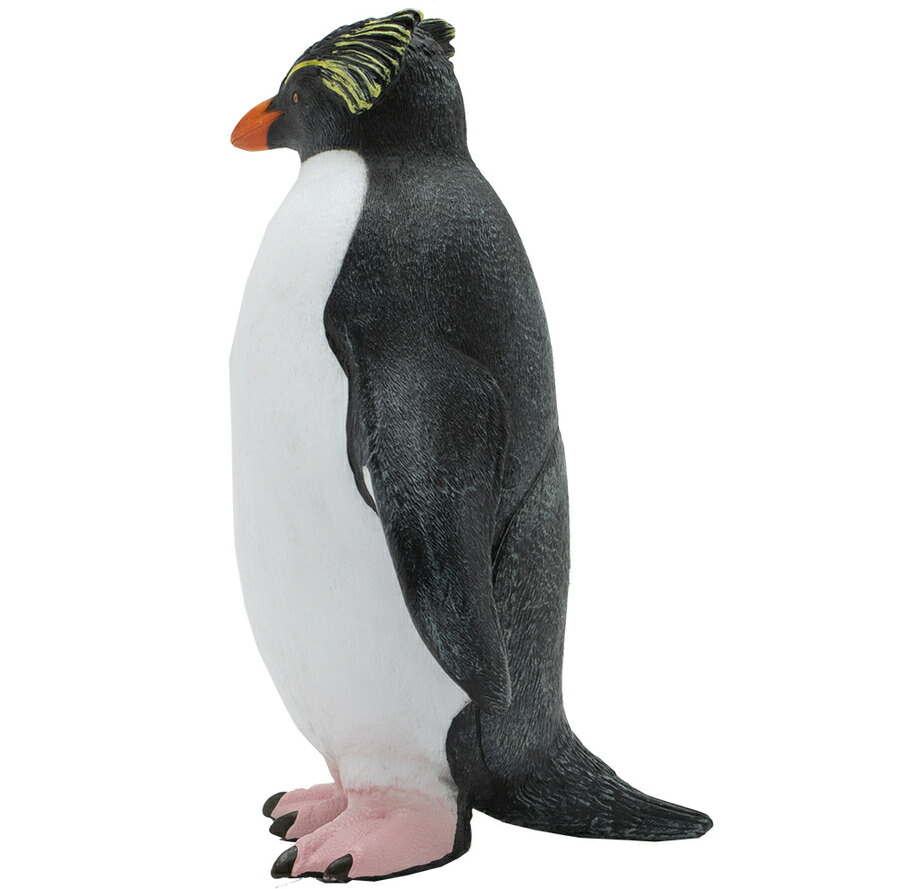 楽天市場 さらに５倍 フェバリット イワトビペンギン ビニール フィギア 海洋生物 生物 アニマル フィギュア ソフビ ギフト インテリア あす楽対応 こぐま こぐま
