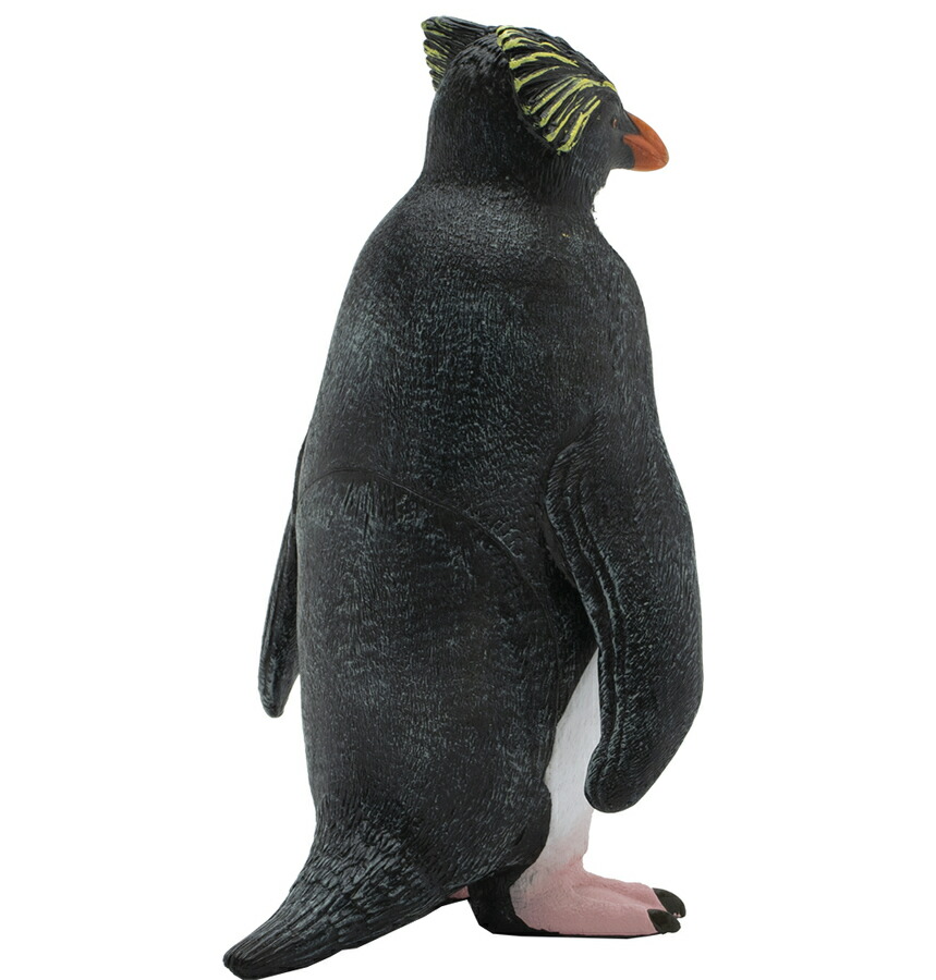 楽天市場 さらに５倍 フェバリット イワトビペンギン ビニール フィギア 海洋生物 生物 アニマル フィギュア ソフビ ギフト インテリア あす楽対応 こぐま こぐま