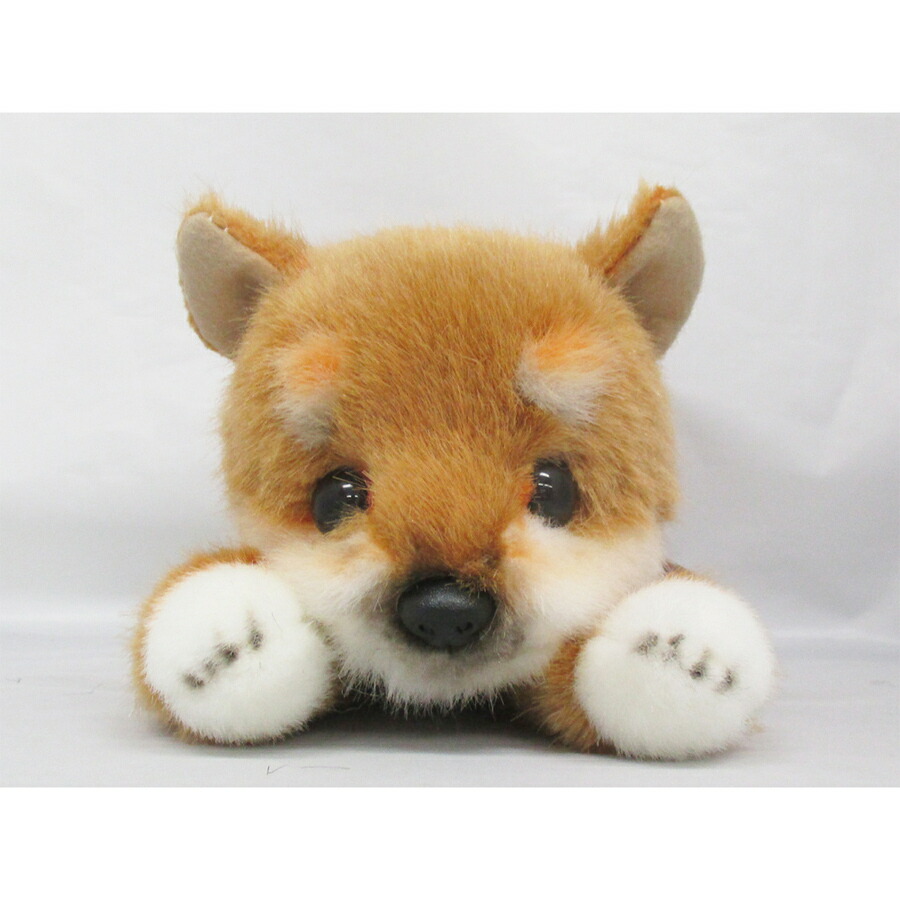 高い素材 全商品7倍 10倍 送料無料 グレイスフル イヌ 秋田犬 座り I 三英貿易 ぬいぐるみ ドッグ いぬ 犬 癒し 動物 ギフト プレゼント 日本製 こぐま 正規販売代理店 Todomundo Org