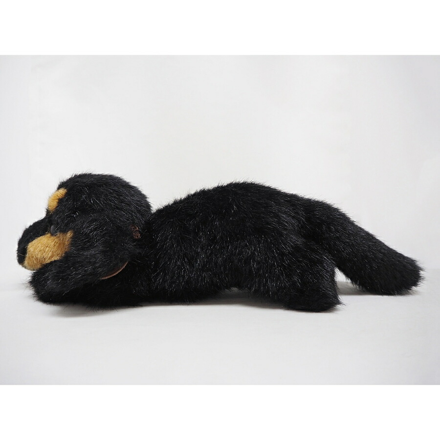 楽天市場 送料無料 グレイスフル イヌ おねだりdog ダックスフンド ブラック タン I 6865 三英貿易 ぬいぐるみ ドッグ いぬ 犬 癒し 動物 ギフト プレゼント 日本製 あす楽対応 こぐま こぐま