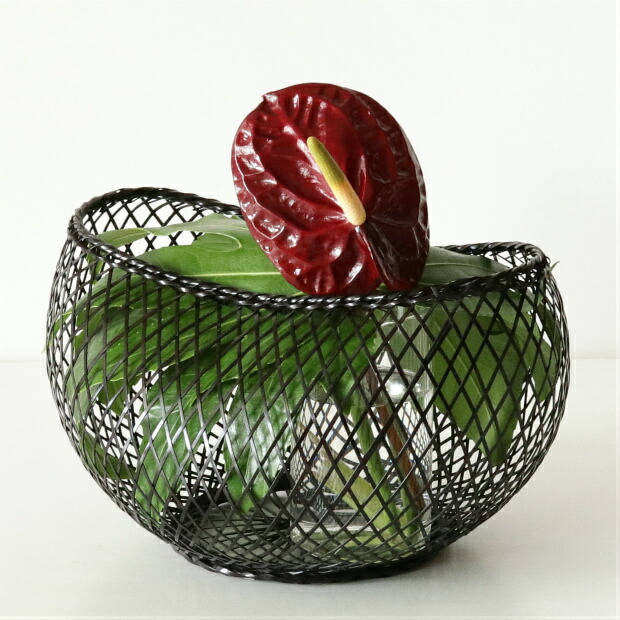 楽天市場】つる首花入れ L ナチュラル : 公長斎小菅 楽天市場店