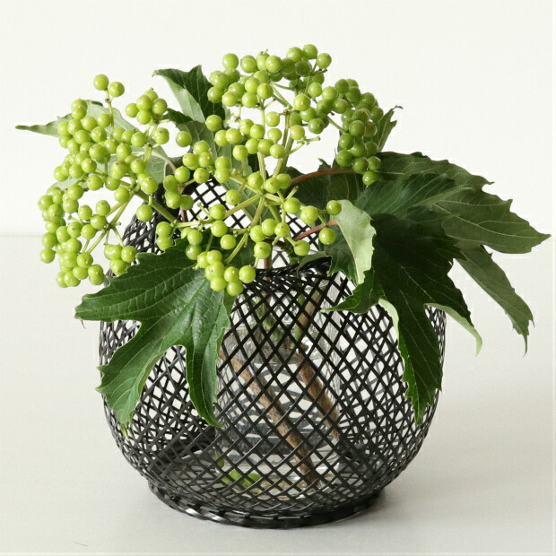 楽天市場】つる首花入れ L ナチュラル : 公長斎小菅 楽天市場店