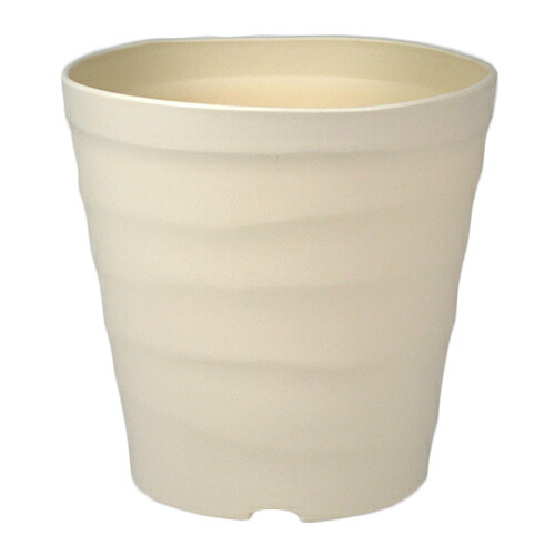 素人 視力 間接的 コーナン 植木鉢 Mishkazakharin Com