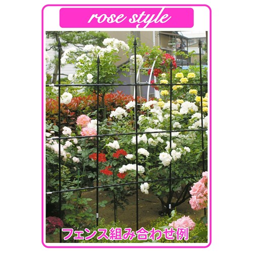 ローズガーデン ローズガーデンカラーズ（エナメルタイプ） 0.8L グラフィット