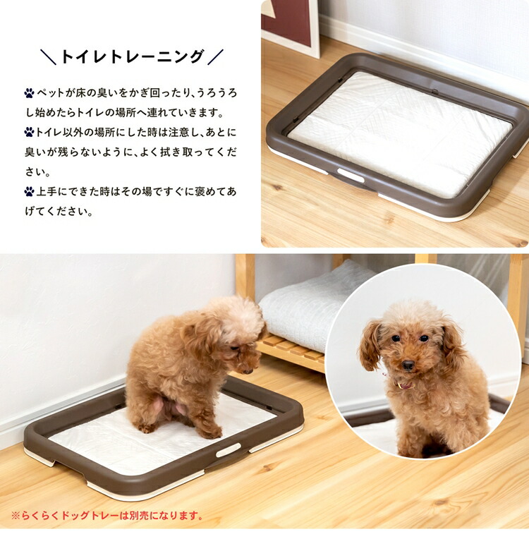 楽天市場 コーナン オリジナル Lifelex 強力消臭ペットシーツ ｋｔｓ１２ ３１５７ コーナンｅショップ 楽天市場店