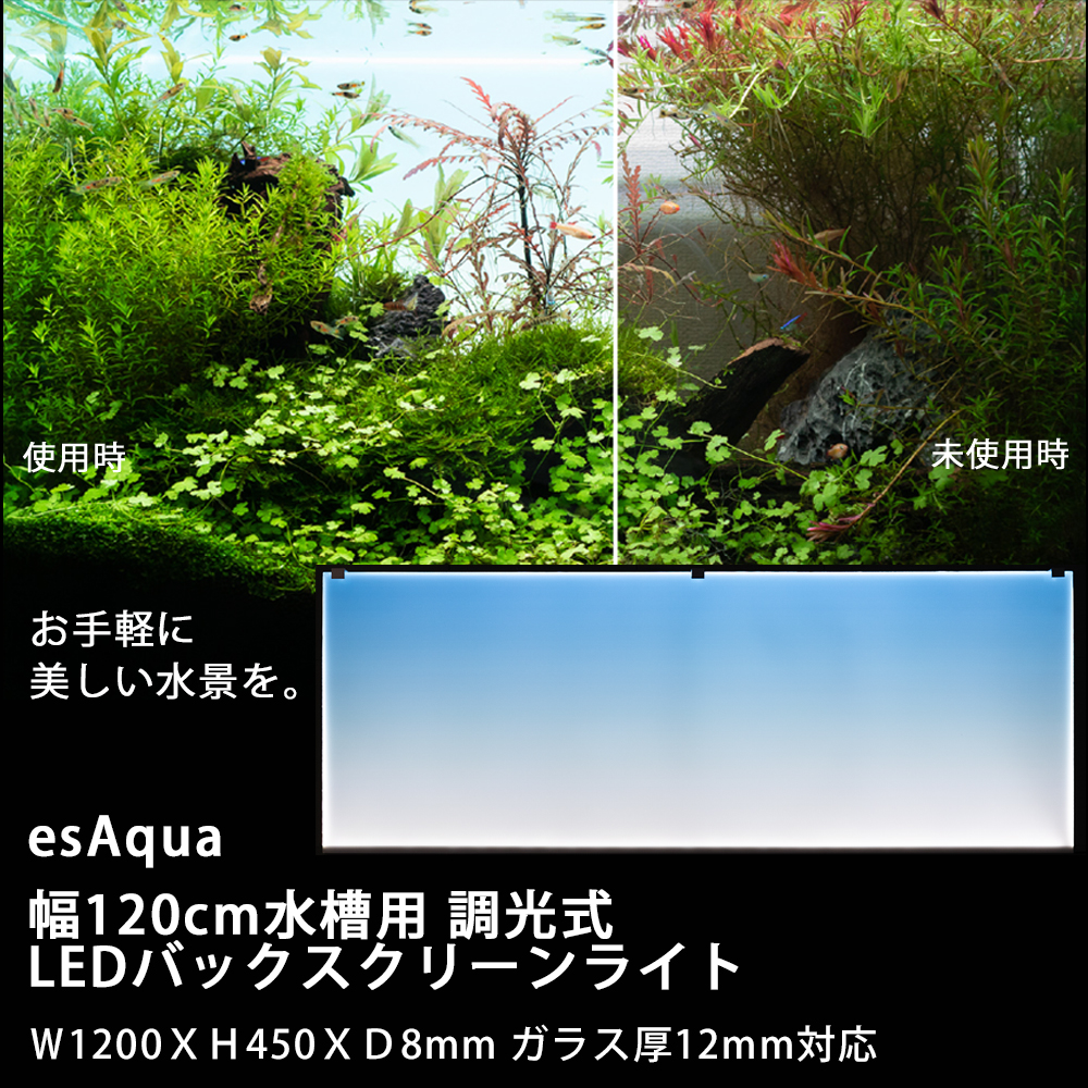 楽天市場 Esaqua 幅1cm水槽用 調光式 Ledバックスクリーンライト ｗ10ｘｈ450ｘｄ8mm ガラス厚12mm対応1cm用 コーナンｅショップ 楽天市場店