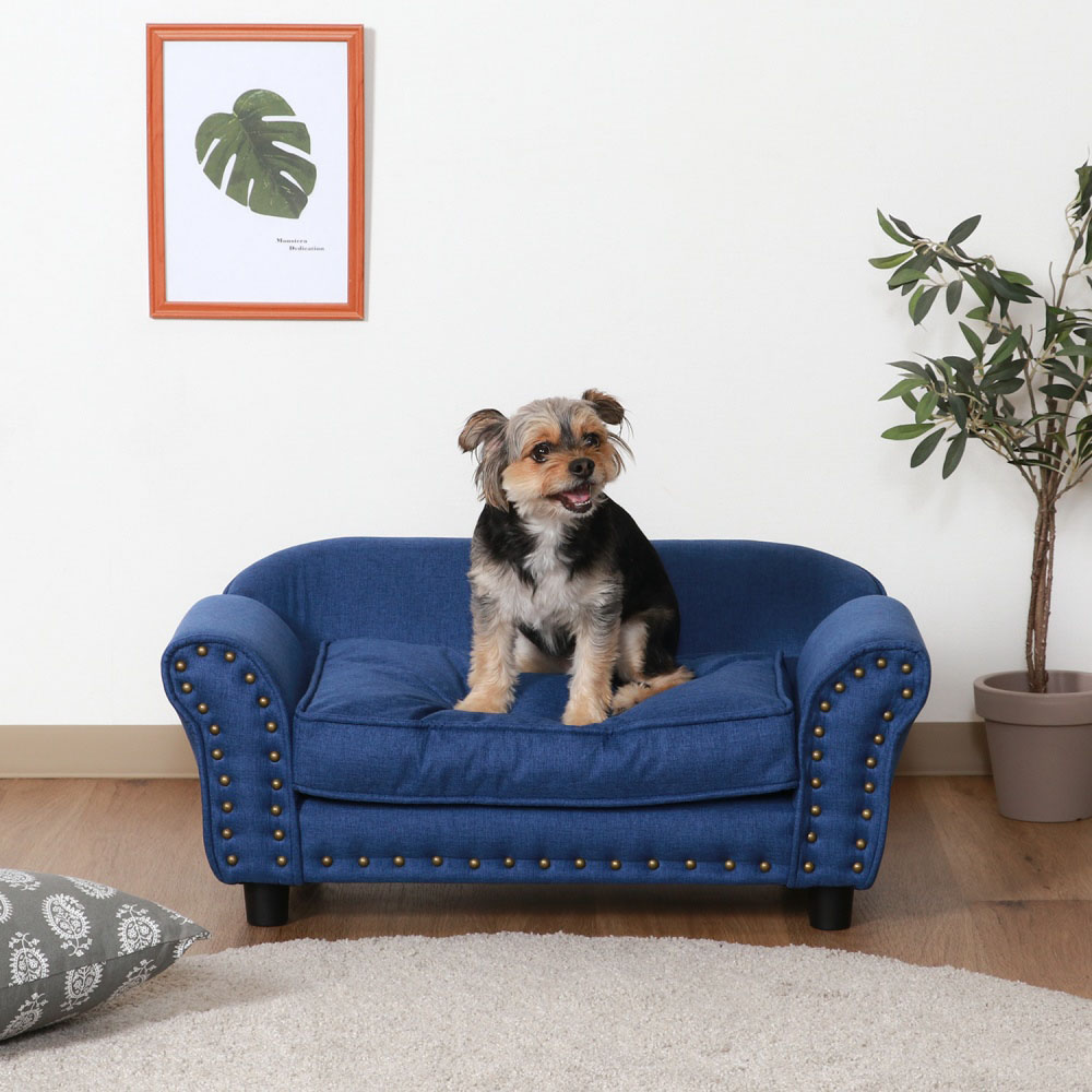 百貨店 SALE