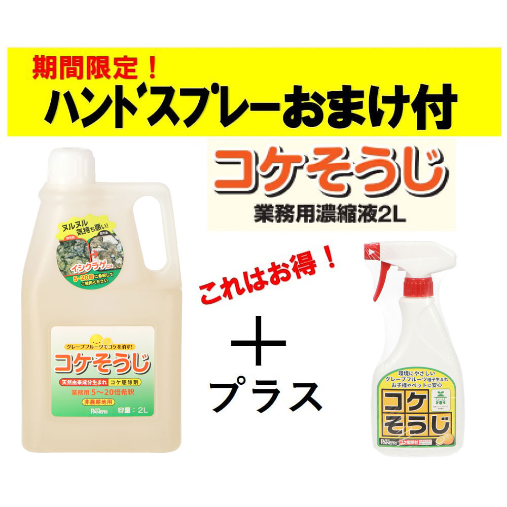 パネフリ工業 コケそうじ業務用濃縮液　2L+ハンドスプレー500ml｜コーナンｅショップ　店
