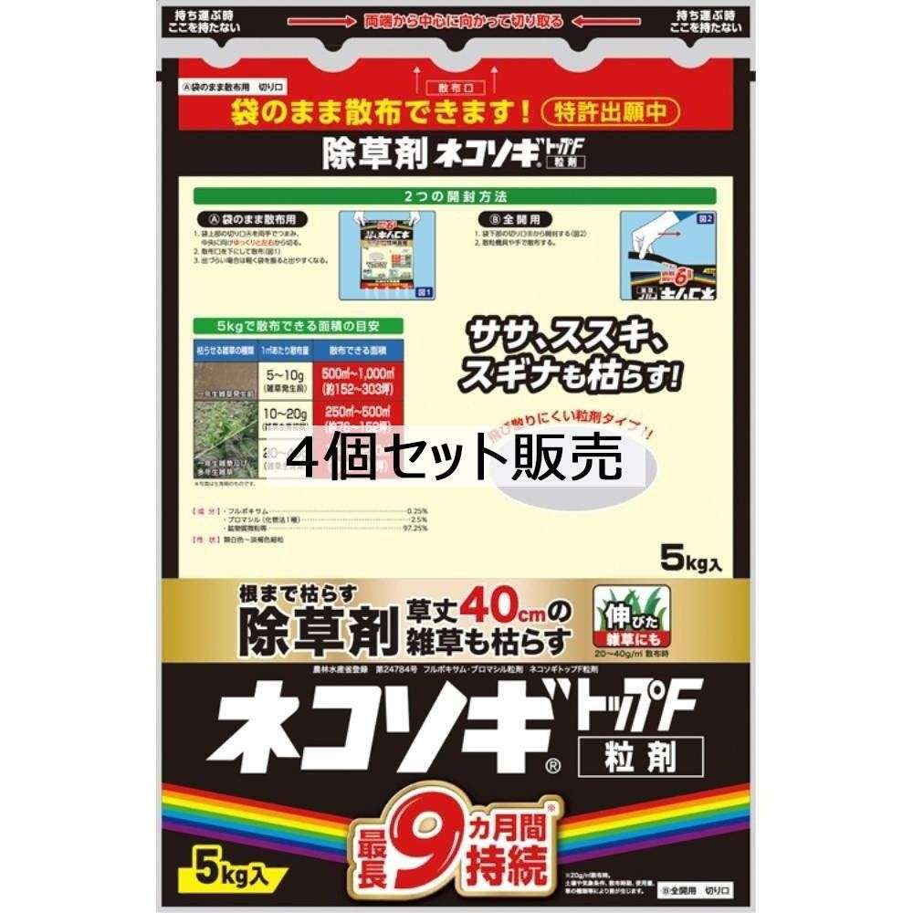 百貨店 SALE