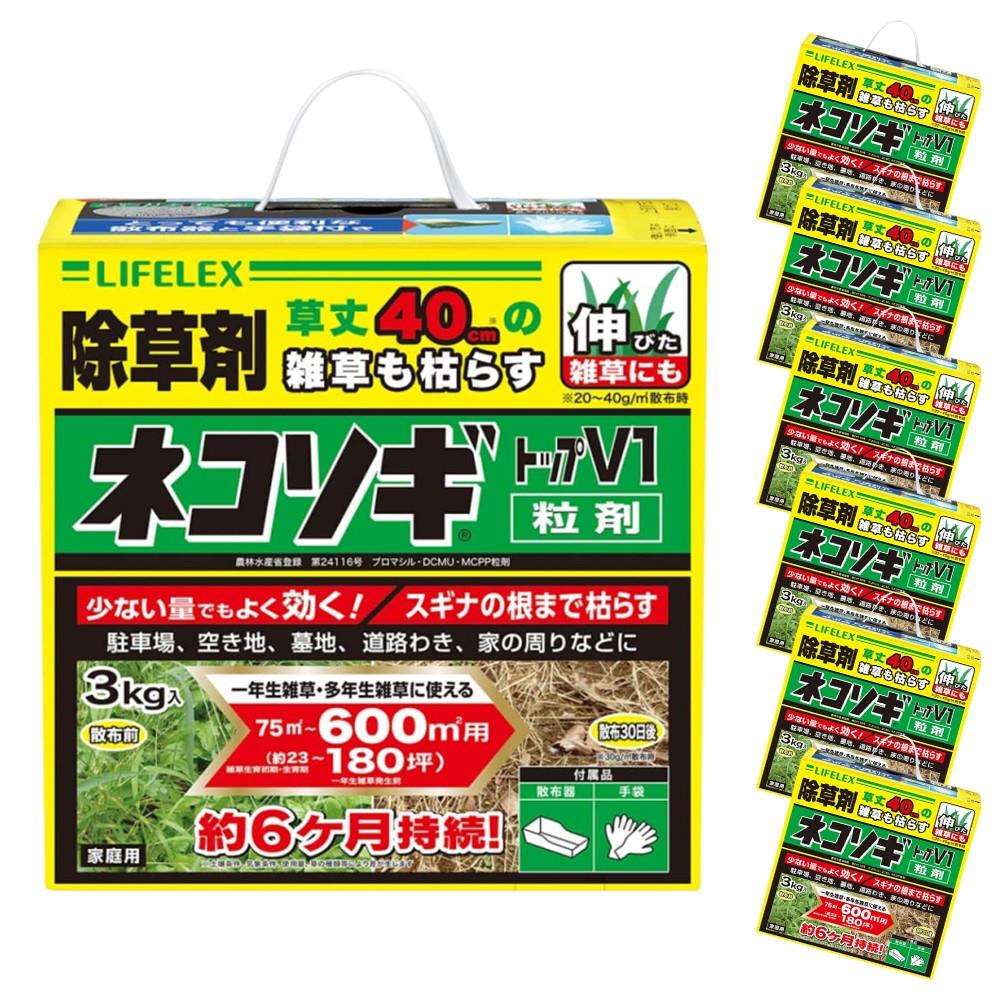 百貨店 SALE